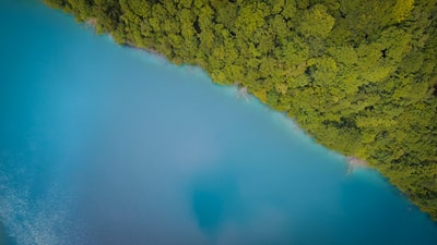 水体附近绿树的航空摄影
